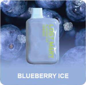 Lost Mary OS5000 BLUEBERRY ICE